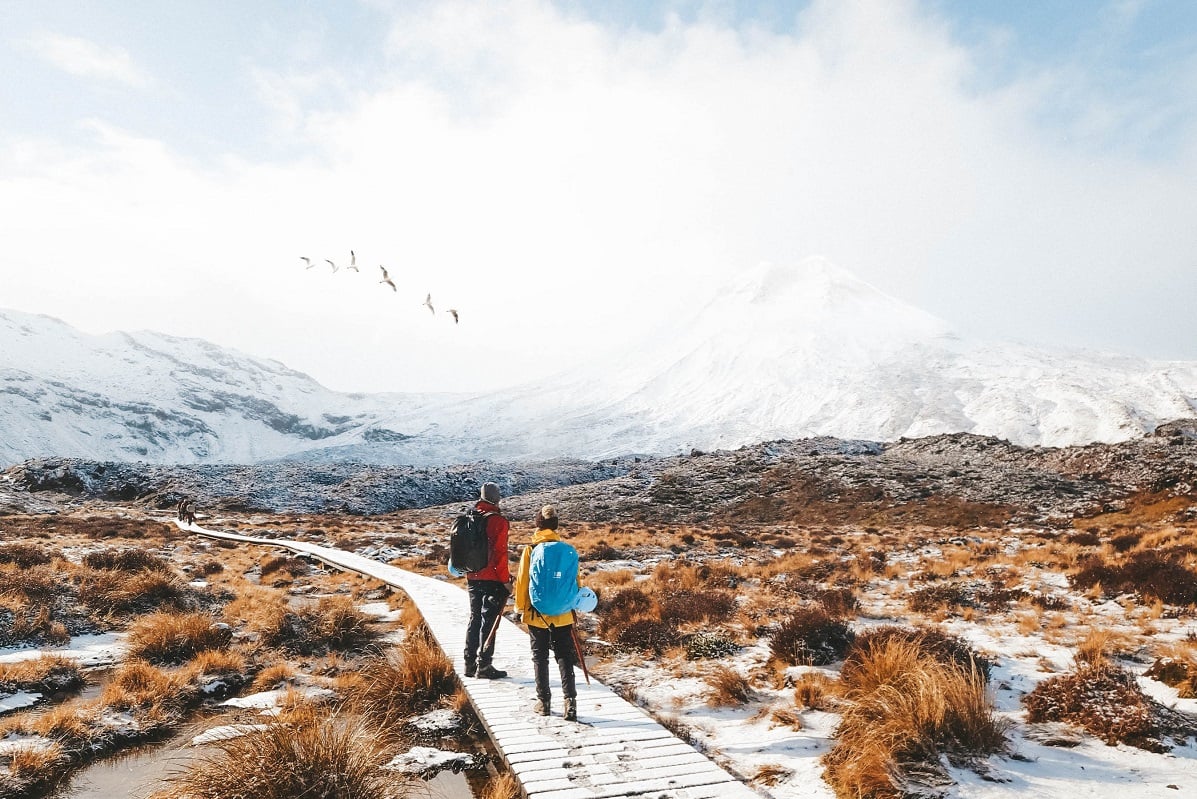 9 Reasons Why you Should Travel New Zealand in Winter